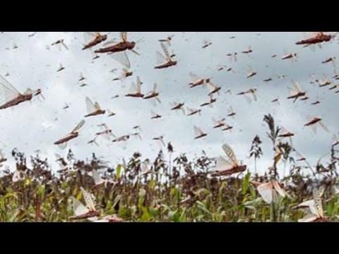 Amos 4:9  Second Round Discipline by Nature