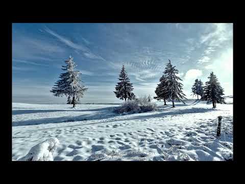 Scripture Verse By Verse (5) Hosea 1:1-11