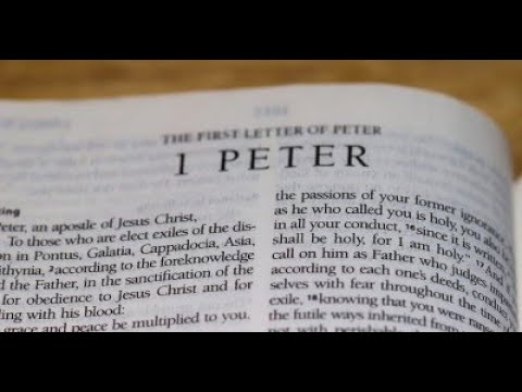 "Identity, Privilege, & Promise" 1 Peter 2:4-6