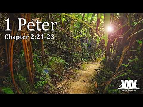 Verse by Verse - 1 Peter 2:21-23
