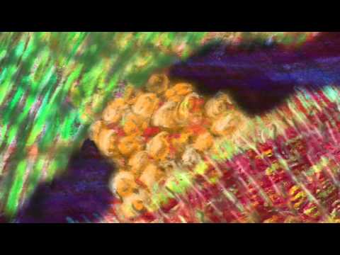 Matthew 13:31-33, 44-52 Commentary by Dr. Tom Boomershine