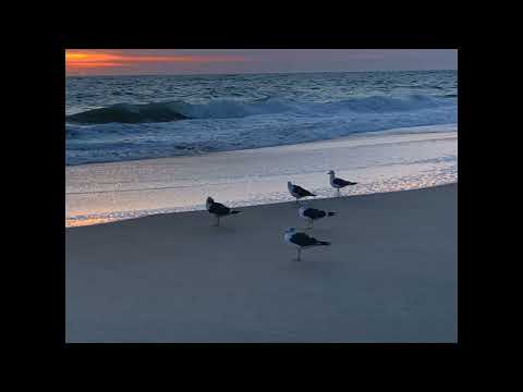 Coffee Break   (5 Minutes with God) Psalm 124:1-5