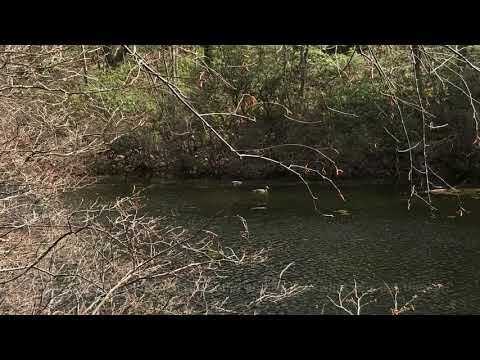 Are We Like Judas?... John 12:4-6