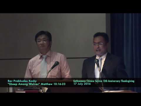 Sheep Among Wolves (Matthew 10:16-23)