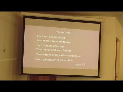 "It's Not About the Fish" Jonah 1:1-4, 8-10, and 15-17