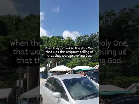 Psalm 89:18 For the LORD is our defence; and the Holy One of Israel is our king.