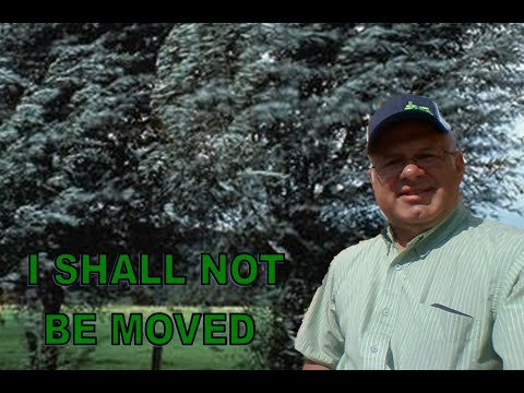 Proverbs 12:3 I shall not be moved