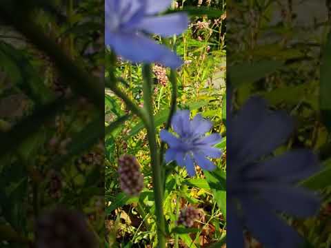 Proverbs 28:27 (Whoever gives to the poor will not be in need)