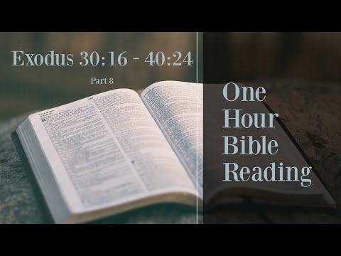 Read The Entire Bible (Part 8) - 1 Hour Bible Reading (Exodus  30:16 - 40:24)