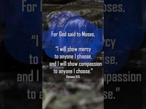 A reading of Romans 9:15-16 from the New Living Translation