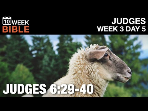 Gideon's Fleece | Judges 6:29-40 | Week 3 Day 5