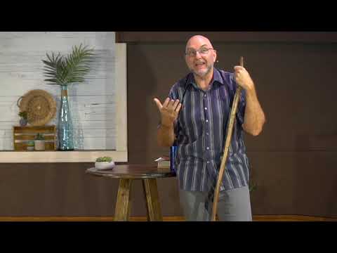 "What Is In Your Hand?" - Exodus 4:1-5 - Larry Schram - July 26, 2020