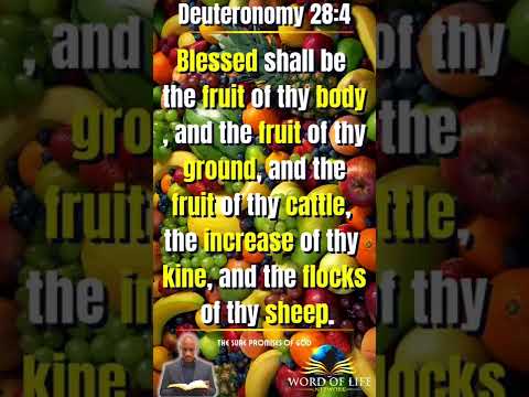 The Sure Promises Of God : Fruitfulness : Deuteronomy 28:4