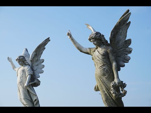 Enjoy our 7/12/20 worship with a message on Hebrews 1:4-14 titled Angels on High?