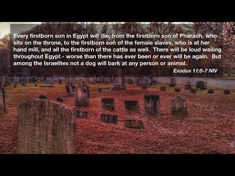 Exodus 11:5-7 Poole 1988 WT