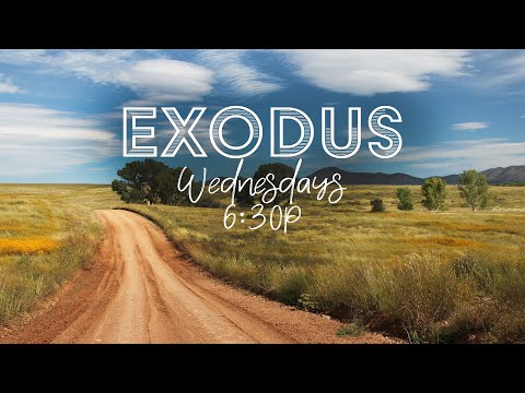 Exodus 38:9 - 40