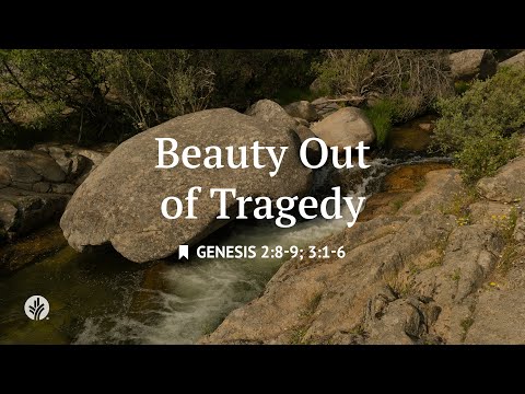 Beauty Out of Tragedy | Personal Reading with Soundscapes From "Our Daily Bread" Devotional