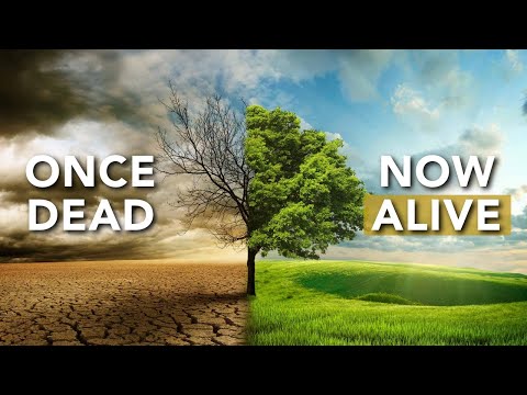 What Does It Mean — Once Dead and Now Alive in Christ? | Ephesians 2:1-9