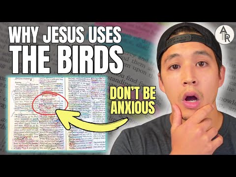 Why Jesus Says "Look At The Birds" When You're Anxious | Matthew 6:25-27