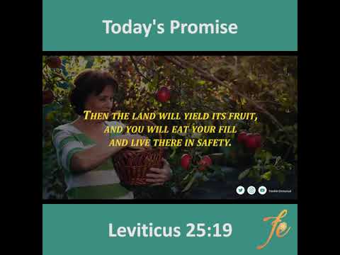 Today's Promise (Leviticus 25:19) English