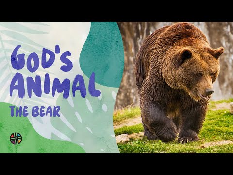God's Animal - The Bear | Preschool