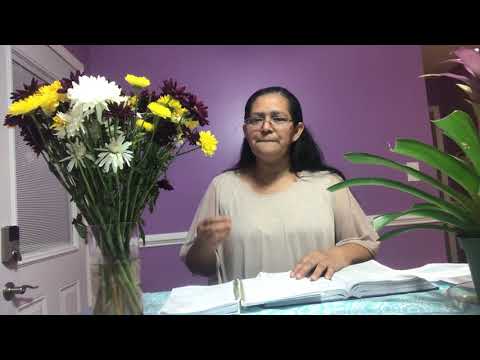 Clase de 12-14.  Y 15-18. Tema: Ambre y pobreza una brecha peligrosa. Daniel 2:41-44