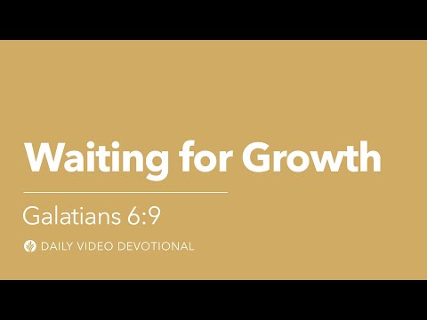 Waiting for Growth | Galatians 6:9 | Our Daily Bread Video Devotional