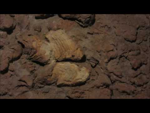 "I Say a Little Prayer" Psalm 5:1-2