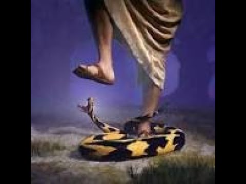 Scripture from the Lord- Lick the Dust - Psalms 72:9-10