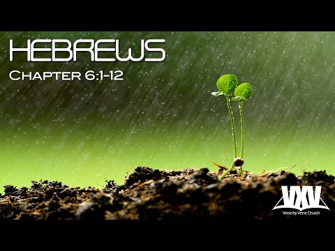 Verse by Verse - Hebrews 6:1-12