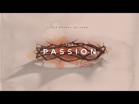 11:15am - The Resurrection Reality - Luke 20:27-21:4