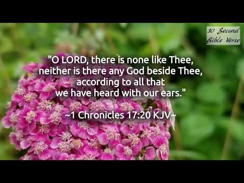 1 Chronicles 17:20 kjv