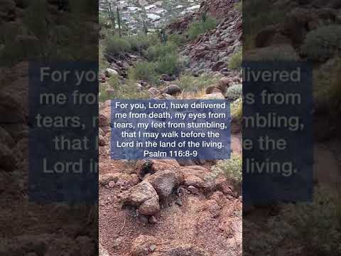 Psalm 116:8-9