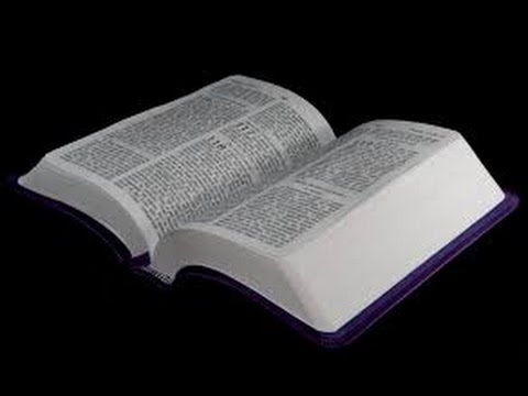 (The Bible Stories) 25 Rebellion in the Ranks - Numbers 16:1-17:13