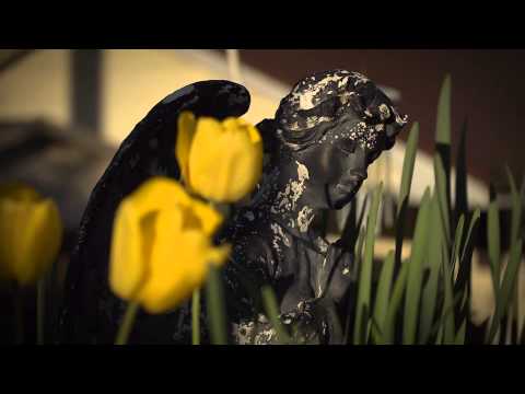 FLBC Daily Devotion Psalm 145:20