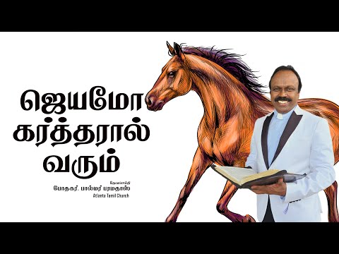 Daily Word with Pastor Palmer - Psalm 75:6