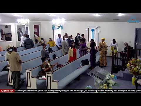 Lesson 5: The Stranger in Your Gates (Deuteronomy 10:19); Divine: A Princess Gift-What Anyone can…