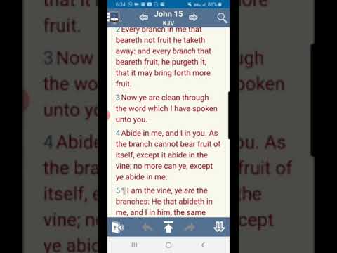 John 15:1-4 it's a Vineyard not a circus