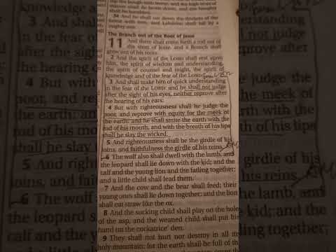 The Living Word of God. Scripture Reading Isaiah 11:3-5 KJV