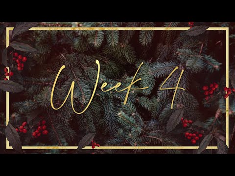 1 John 1:4-5 | Light & Life