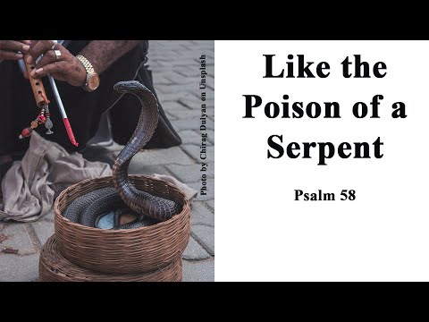 Psalm 58:3-5; September 6, 2022