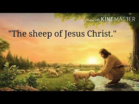 John 9:38-10:11. "The sheep of Jesus Christ."