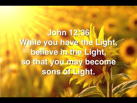 John 12:36 (Command)