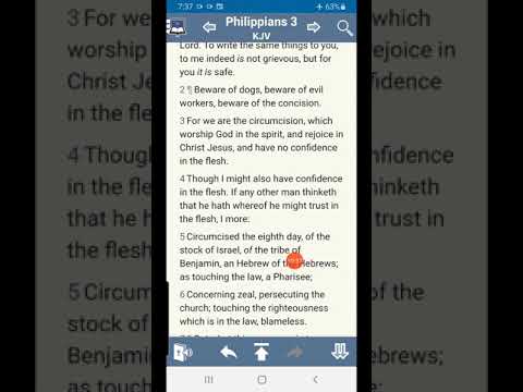 Philippians 3:1-3 dogs evil workers concision versus the true circumcision