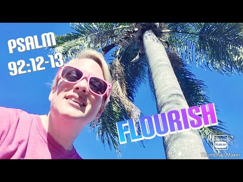 Psalm 92:12-13/The Righteous are like a PALM TREE!!!