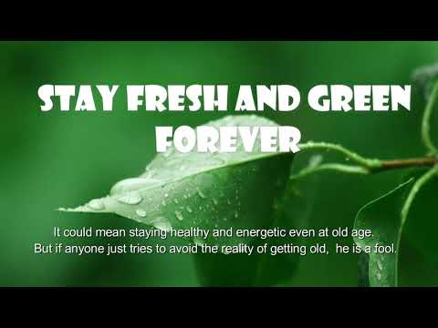 Stay Fresh and Green Forever (Psalm 92:12-15) MIssion Blessings