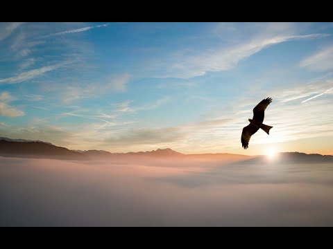 January 16, 2022 Matthew 15:17-20; Biblical Sexual Morality