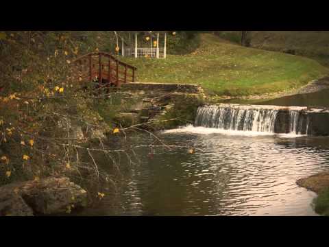 FLBC Daily Devotion Psalm 33:21