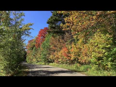 Coffee Break   (5 Minutes with God) Psalm 115:12-18