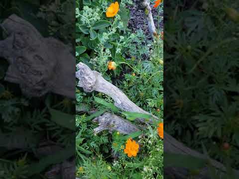 Proverbs 19:17(Kindness to the poor is a loan to the LORD, and He will repay the lender)